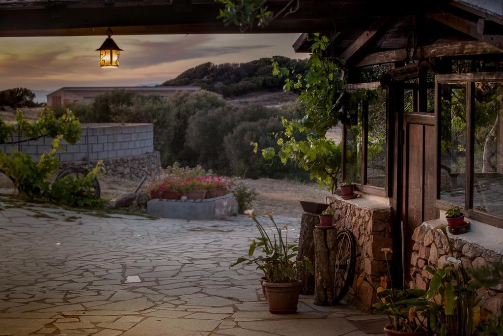 Agriturismo Nuraghe Tuttusoni Aglientu Exterior foto