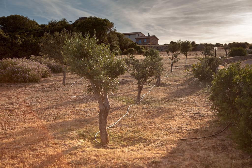 Agriturismo Nuraghe Tuttusoni Aglientu Exterior foto